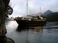 Click on image for larger photo